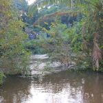 Politic or Safety? Public Works Blocks CMC’s $500K Bridge Project, Says Government Already Has Funding