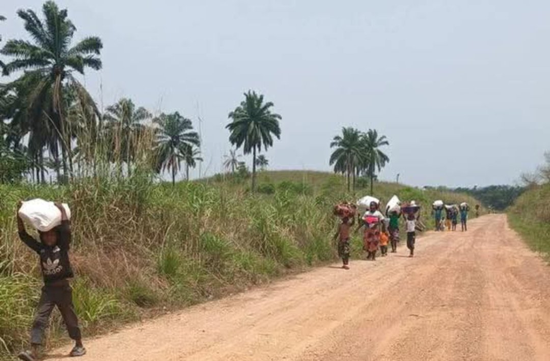 Fourth Tension Despite Dialogue: Local Authority Confirms Guinean Troops at Sorlumba Border Point