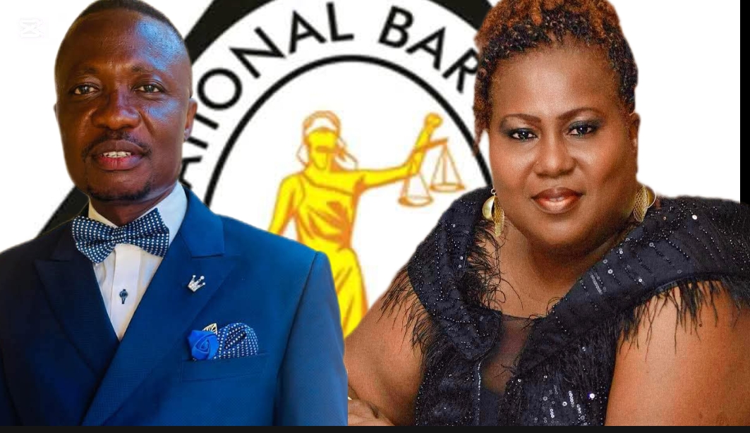 Bedtime: Is the LNBA Slaughtering Its Own Constitution Over Planned VP Election?