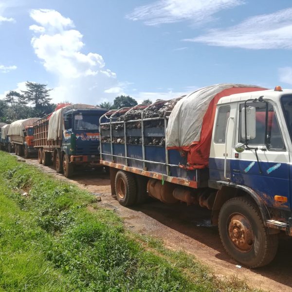 LRA Puts Gun Escort on Guinea Rubber Trucks to Stop Tax Dodging