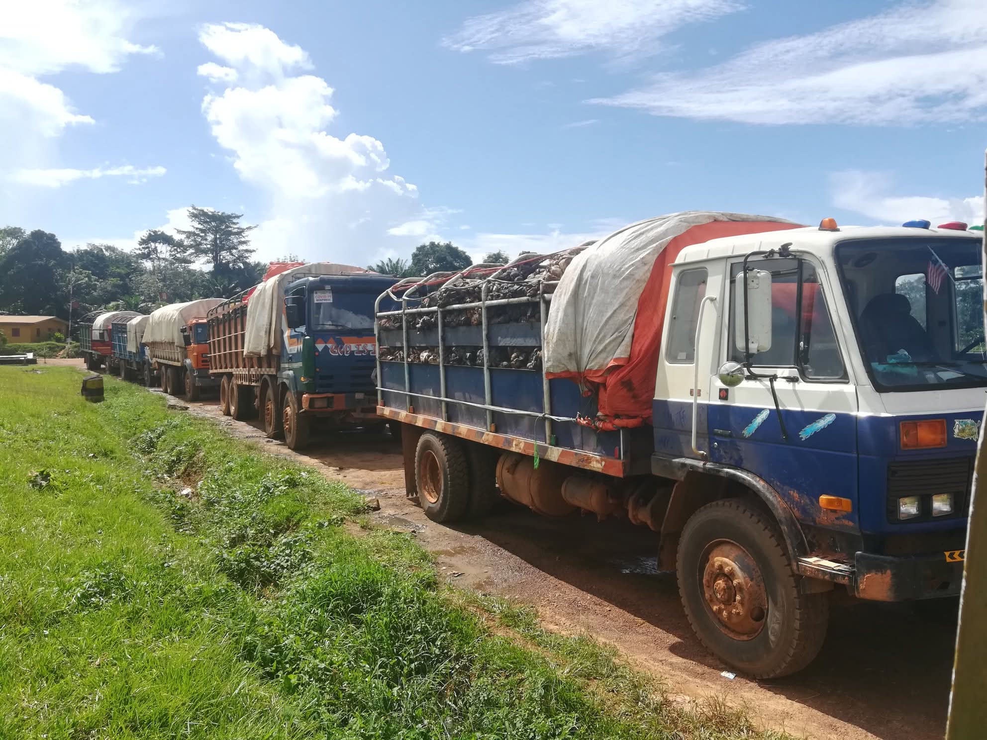 LRA Puts Gun Escort on Guinea Rubber Trucks to Stop Tax Dodging