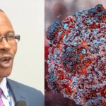 Former NPHIL Boss Dougbeh Chris Nyan: No Hantavirus Outbreak in Liberia