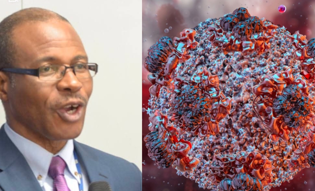 Former NPHIL Boss Dougbeh Chris Nyan: No Hantavirus Outbreak in Liberia