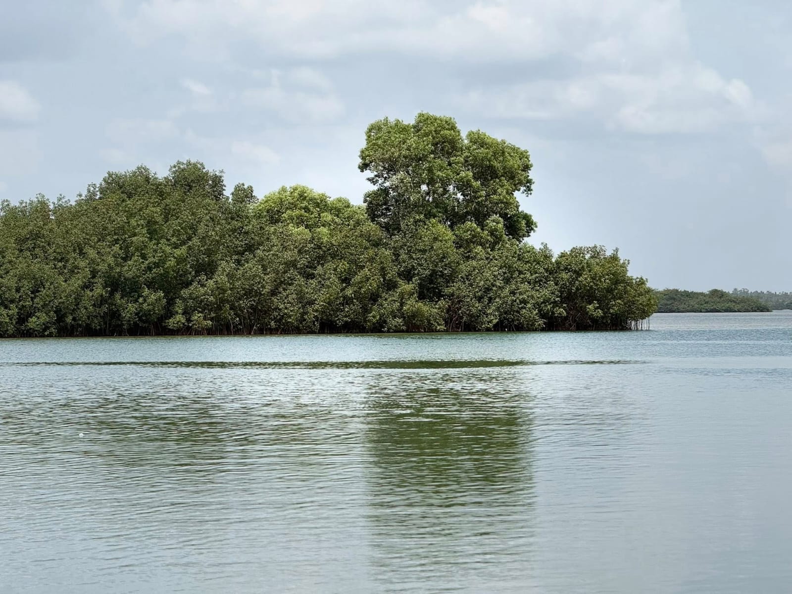 Liberia, UNDP Launch Five-Year SARTLA Project to Bolster Climate Resilience in Rural Communities