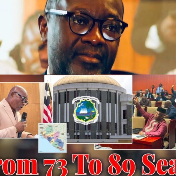 Sen. Amara Konneh Opposes House Plan to Expand&hellip;