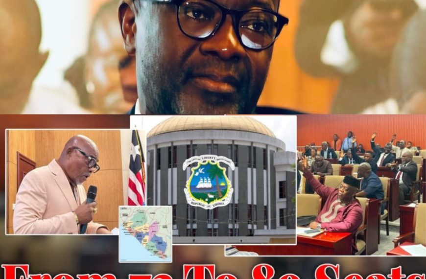 Sen. Amara Konneh Opposes House Plan to Expand Electoral Districts to 89