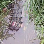 Ganta History Teacher Found Dead in Stream, Community Mourns Decades of Service