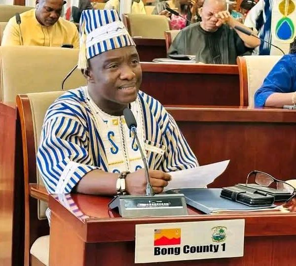 Senate Honors Ways, Means and Finance Committee for Excellence; Chairman Moye Pledges Continued Service to Public Interest